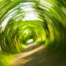 http://northlightphysio-co-uk.stackstaging.com/life-spin-dizziness/